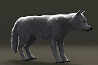 3d animal model realistic fur 3d xgen zbrush model, 3d print, blender maya model