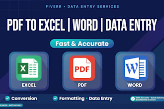 do accurate data entry excel copy paste and web research