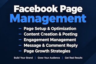 do professional facebook page management and marketing