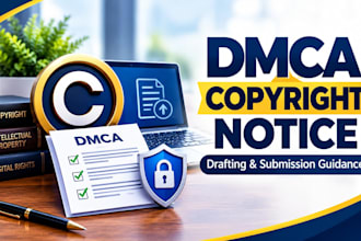 provide professional dmca takedown service