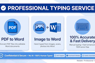 do fast typing, ms word, excel data entry and pdf to word