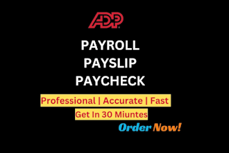 do accurate payroll, payslip and paycheck for you