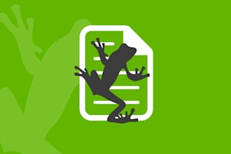 scan your website using screaming frog SEO spider and deliver a report