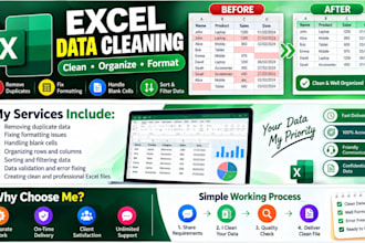 clean, format and organize your excel data