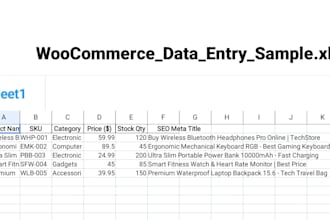 do professional woocommerce product data entry on page SEO