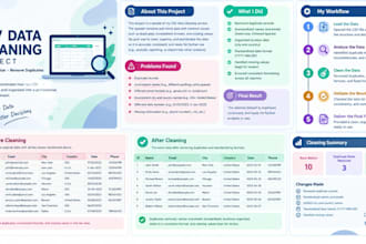 clean and organize your CSV data professionally