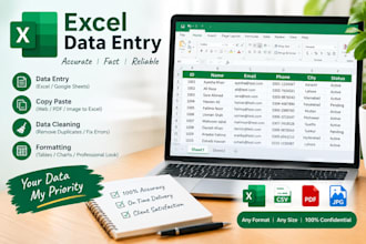 do expert virtual assistance for data entry , excel