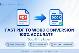 fast data entry, pdf to word conversion and accurate transcription