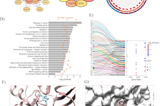 network pharmacology, docking and MD simulation