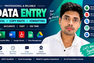 do fast data entry, ms excel, tally, and smart ai data processing