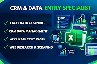 do CRM data entry, excel data cleaning, and copy paste work