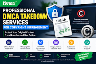 provide professional dmca takedown services for copyright infringement