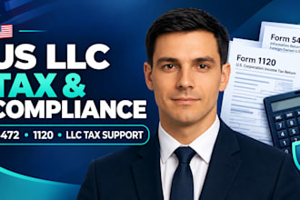 provide professional US tax filing support for foreign owned llcs online