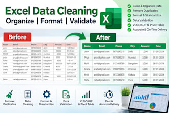 clean, format and organize excel spreadsheets