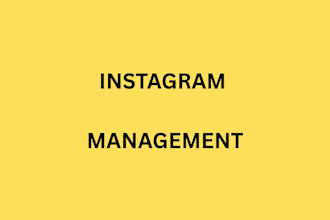 instagram setup and management for brands and businesses