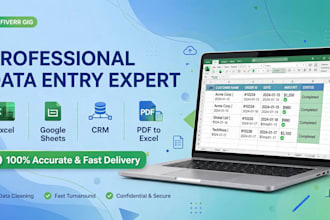 do data entry, excel data cleaning, google sheets and crm management