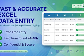 do fast and accurate excel and data entry