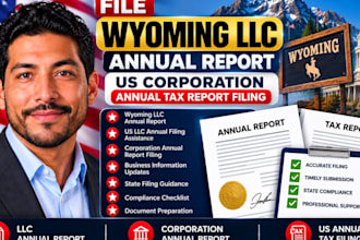 file wyoming llc annual report, US corporation annual tax report filling llc