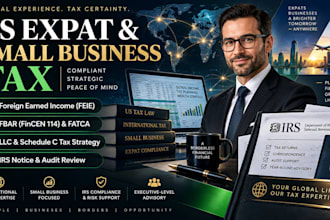 provide US expat and small business tax consulting and document review