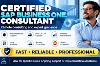 provide sap business one consulting and support in spanish