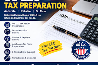 prepare US tax returns for llc, small business and individuals