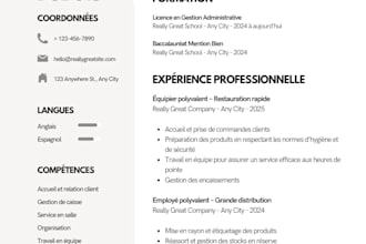 je vais créer et mettre en page votre CV professionnel