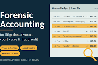 do forensic accounting for litigation, divorce, court cases and fraud audit