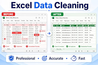 excel data cleaning and formatting
