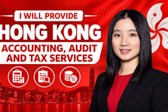 provide hong kong accounting, audit and tax services