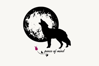 sell you an exclusive ready made logo design from my collection