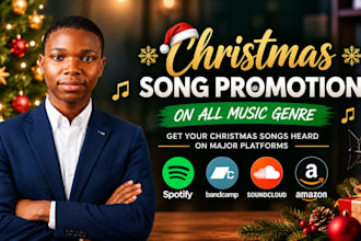 promote your christmas song of all genre on spotify with targeted ads