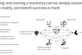 provide strategic advise to smes