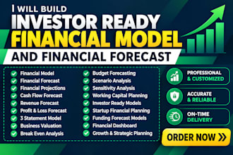 build investor ready financial model and financial forecast