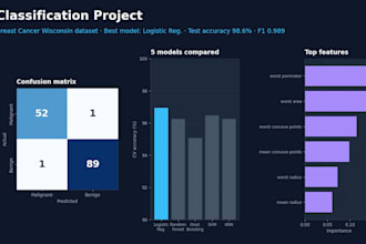 do data science, ml, nlp, and generative ai project