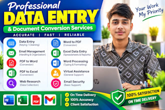 do professional data entry and PDF conversion