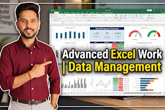 do advanced excel work, data management, and reports