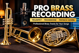 record professional trumpet, trombone or french horn for your songs