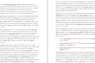 translate technical, patent and business documents english to turkish