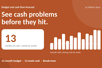 create a budget and 13 week cash flow forecast