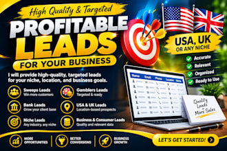 offer profitable sweeps leads, gamblers leads, bank leads, USA, UK or any niche