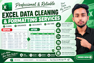 do excel data cleaning, formatting and clean up spreadsheets