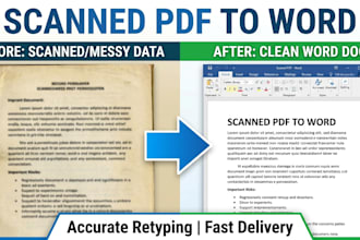 type and retype scanned documents into microsoft word