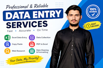 do accurate excel data entry, copy paste and web research