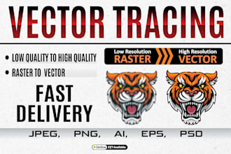 vector tracing or convert to vector quickly