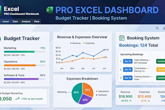 create excel dashboard, budget tracker, booking system