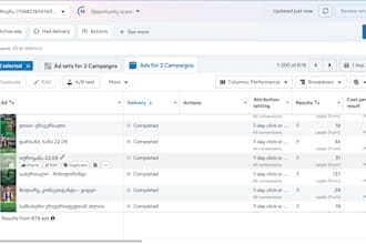 be your expert media buyer for facebook ads