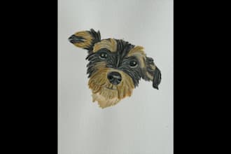 paint your pet wohoo