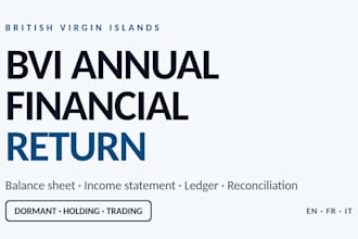 prepare your bvi annual financial return and accounts