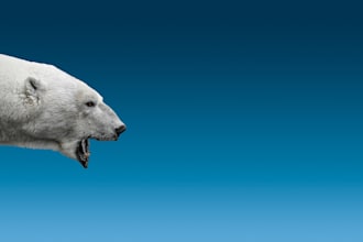 compose original music for your documentary, nature or wildlife film score