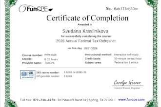 prepare tax return and electronically file for self employed, llc or family